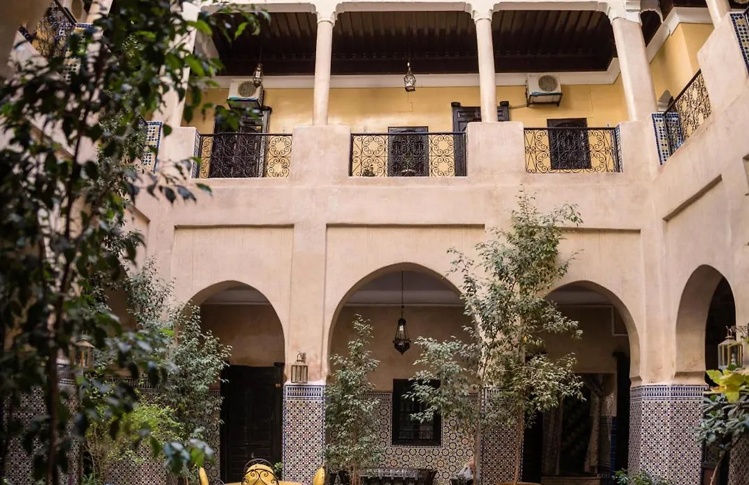 Riad Omar-1