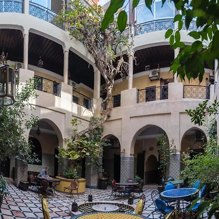 Riad Omar-2